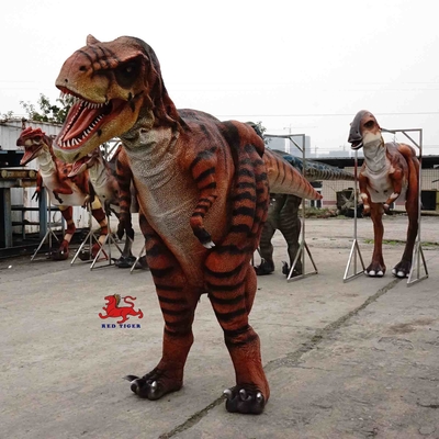 ชุด T Rex ที่เหมือนจริง, ชุด Tyrannosaurus Rex สำหรับการจัดนิทรรศการ
