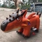 รีโมทคอนโทรล Animatronic Dinosaur Ride Windproof สำหรับสวนสนุก