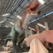 สวนสนุก Animatronic Dinosaur T Rex ที่สมจริงพร้อมการปรับแต่งการเคลื่อนไหว / เสียง