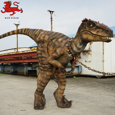 ชุด Animatronic Velociraptor, ชุดไดโนเสาร์ผู้ใหญ่เทียม