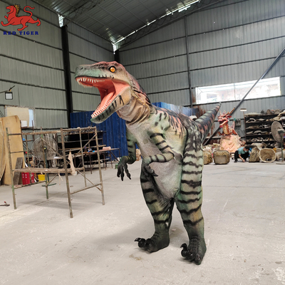 ซื้อ ชุดไดโนเสาร์เหมือนจริง Velociraptor ขนาดชีวิตสำหรับการแสดงบนเวที online manufacture