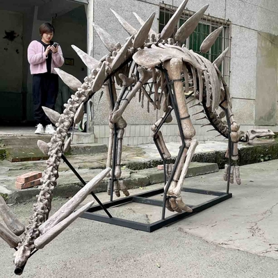 นิทรรศการ Jurassic Park Dinosaur Skeleton, Dinosaur Bone Replica