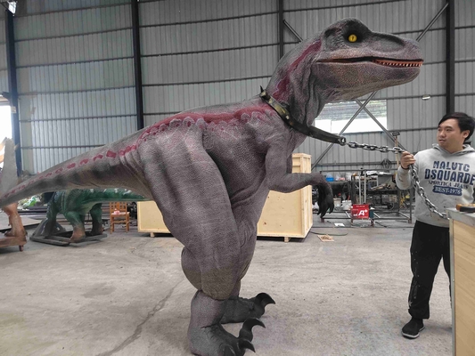 ซื้อ ขนาดตัวจริง เสื้อตัว Raptor สีแดง online manufacture