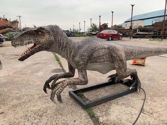 ขนาดเท่าจริง Animatronic Dinosaur Velociraptor Model Theme Park Dinosaur