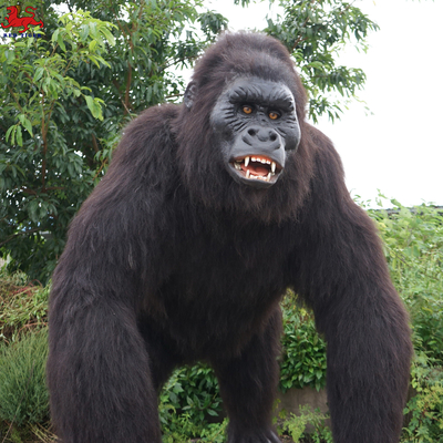 Animatronic Gorilla Suit ชุดกอริลลาที่สมจริงในวัยผู้ใหญ่