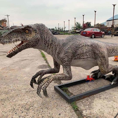 Theme Park ที่สมจริง Animatronic Dinosaur Raptor พร้อมการเคลื่อนไหวและการปรับแต่งเสียง