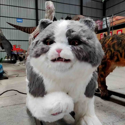 ชื่อ