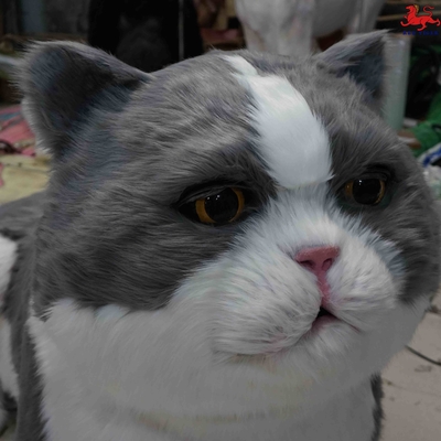 ชื่อ