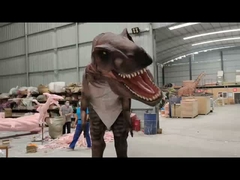 การบุคคลิปตัวจริง ชุดไดโนเสาร์ รูปแบบ Carcharodontosaurus